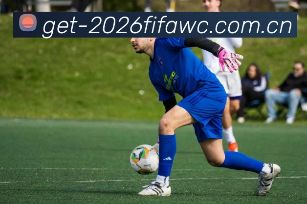FIFA官方数据授权认证